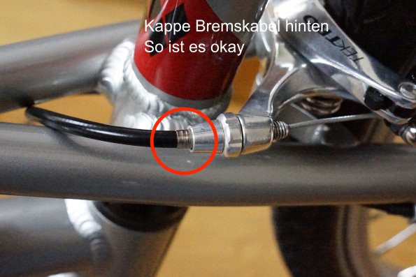 Kappe_Normal