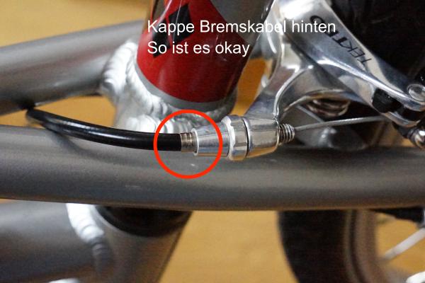 Kappe_Normal